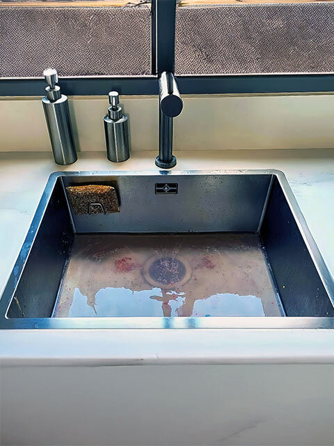 Root Removal